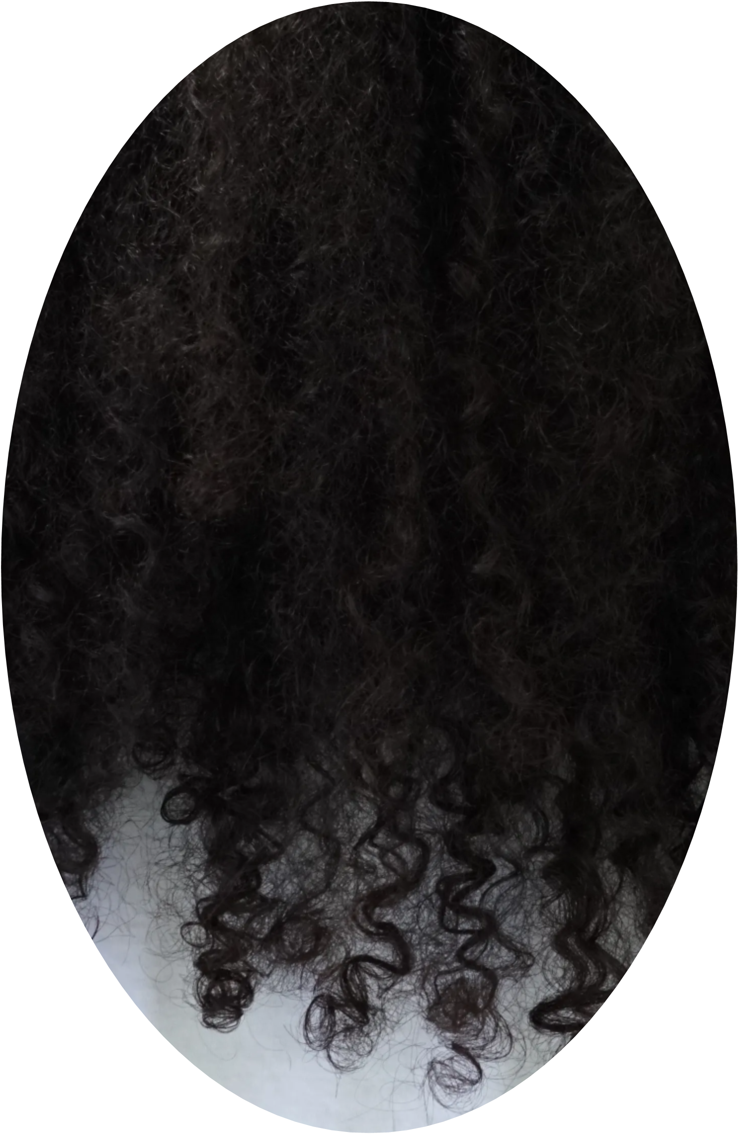 Jamaican black castor oil curl jelly