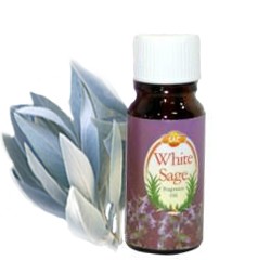 White Sage spiritual oil 10ml