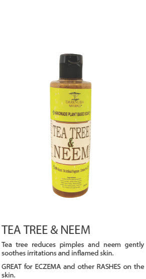 TEA-TREE & NEEM BODY WASH (12)
