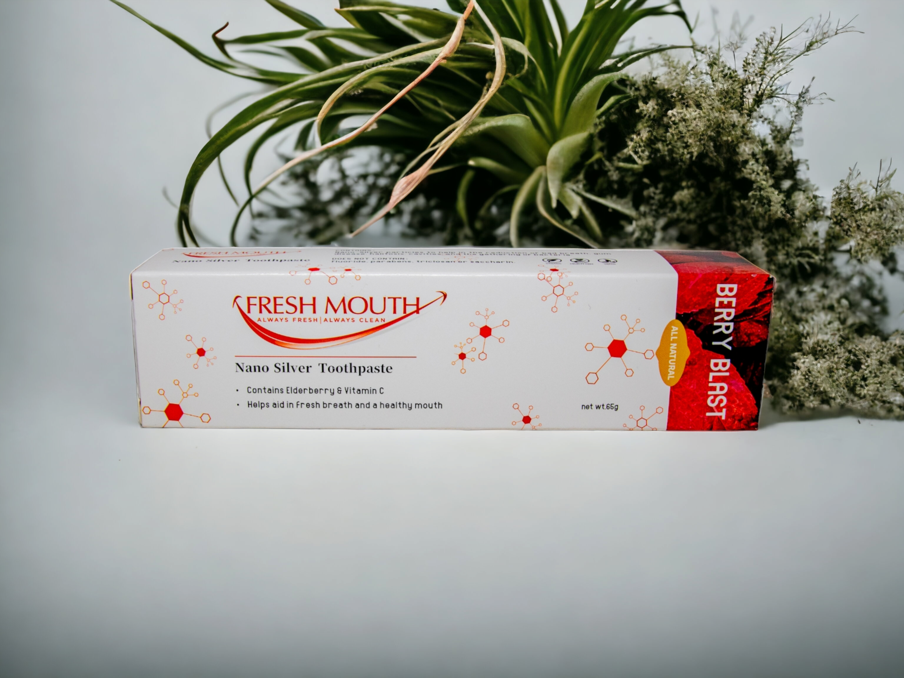 NANO SILVER TOOOTHPASTE (elder berry flavor)