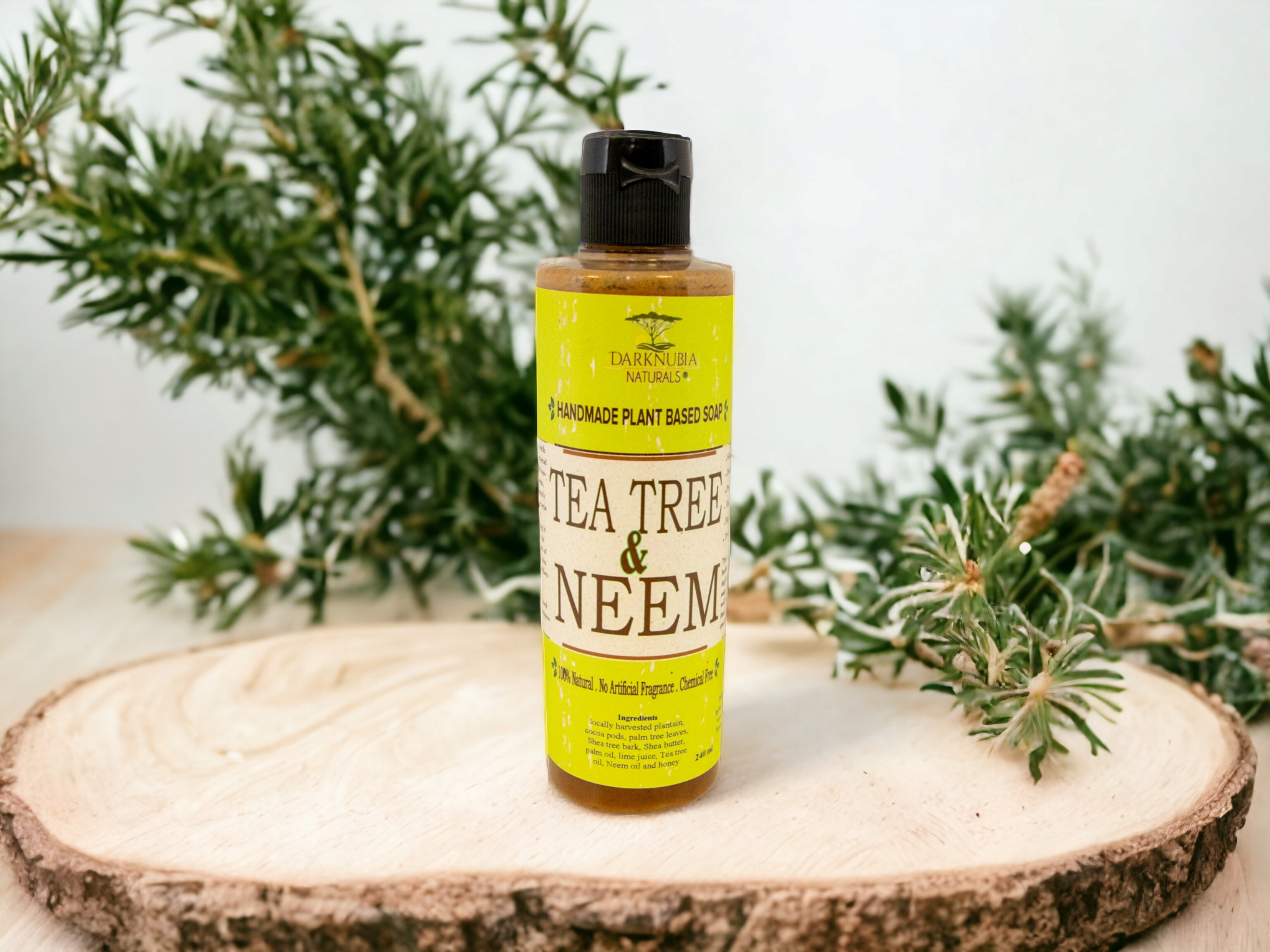 TEA-TREE & NEEM BODY WASH (12)