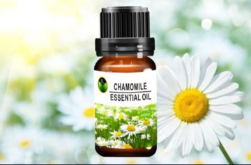 100% PURE CHAMOMILE ESSENTIAL OIL 10ML