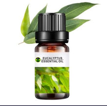 Load image into Gallery viewer, 100% PURE EUCALYPTUS ESSENTIAL OIL 10ML