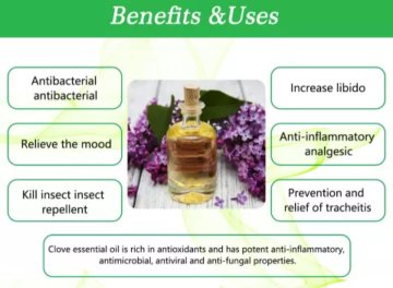 100% PURE CLOVE  ESSENTIAL OIL 10ML