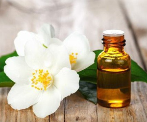 fragrance oils 10ml