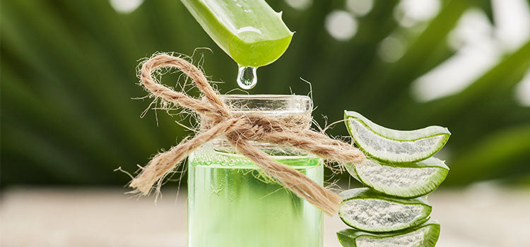 aloe lotion (unscented)