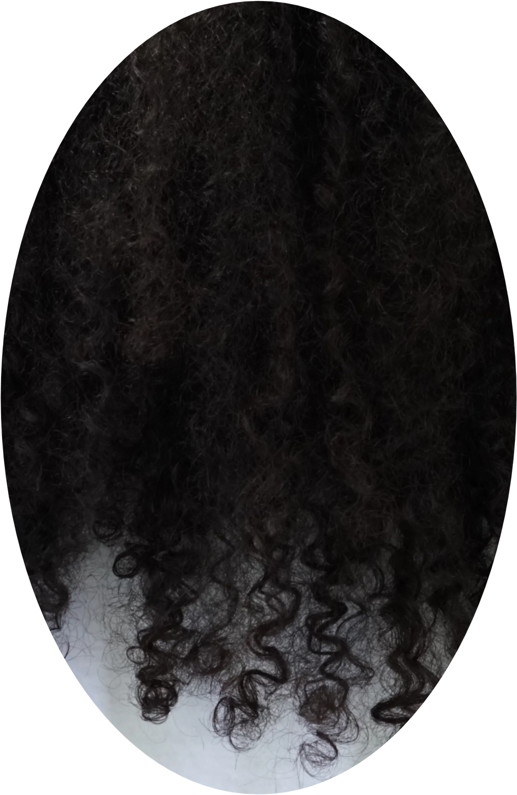 Jamaican black castor oil curl jelly