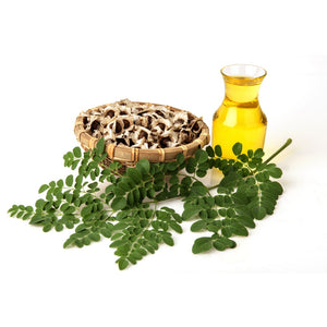 MORINGA SEED COLD PRESSED FROM GHANA (12)