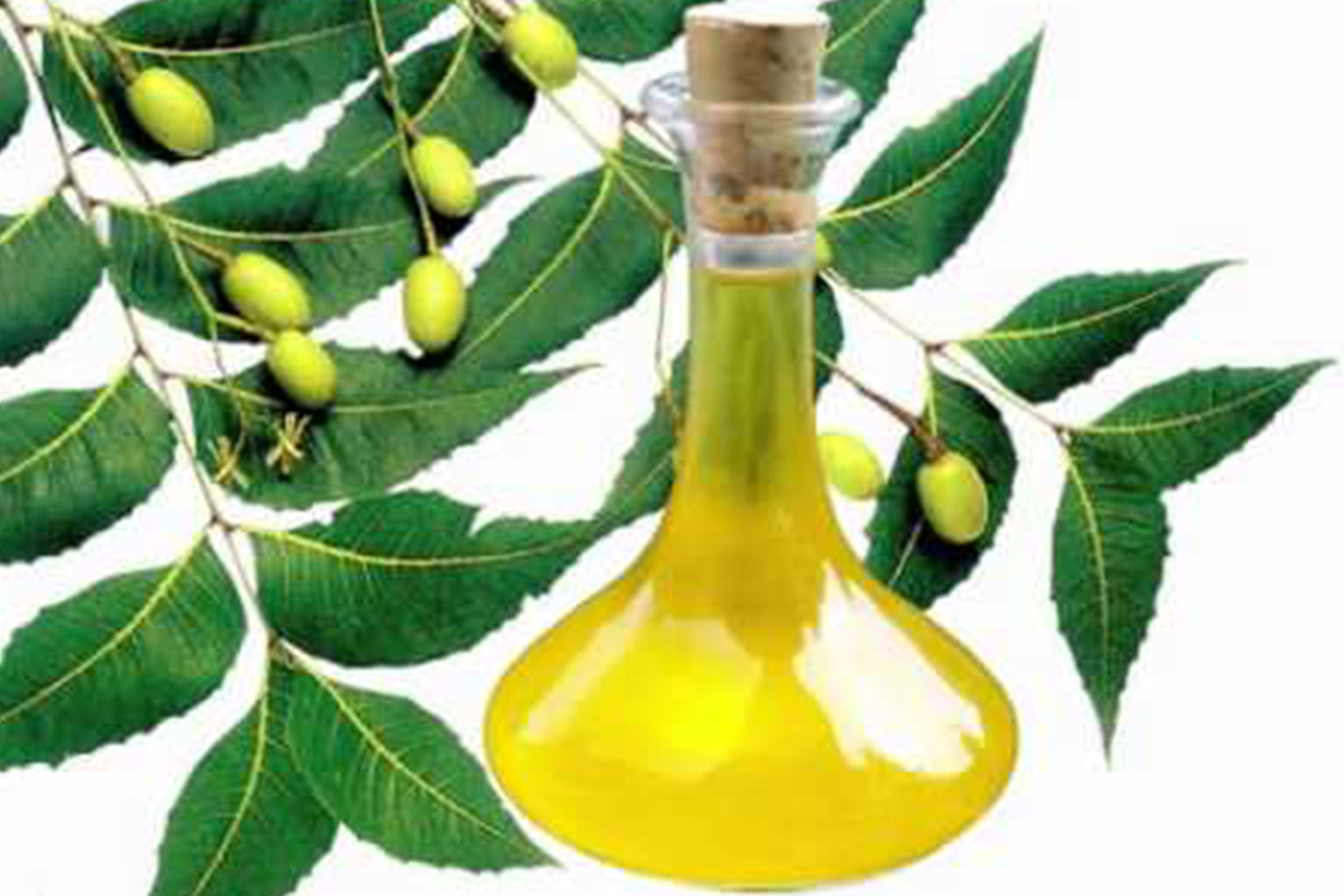 ORGANIC NEEM OIL 50ml (12)