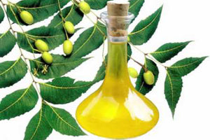 ORGANIC NEEM OIL (12)